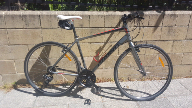 avanti flat bar road bike